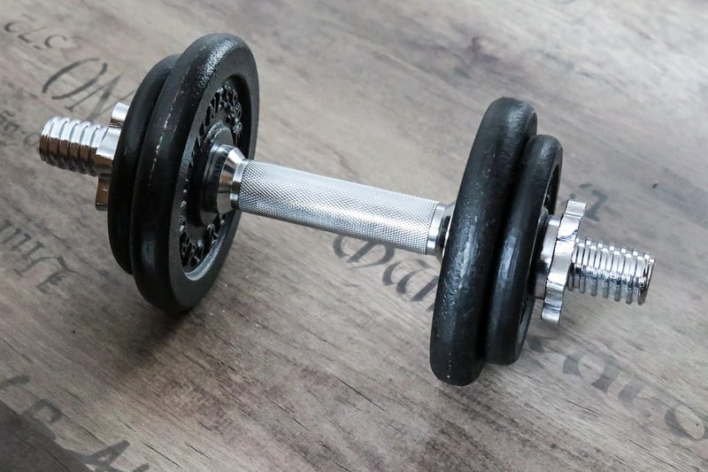 HIIT Circuit Showdown